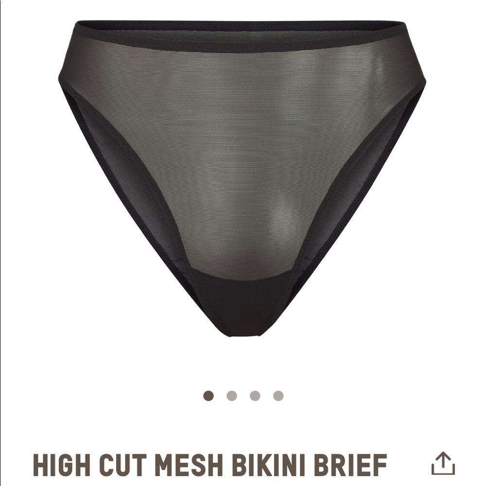 NWT SKIMS HIGH CUT MESH BIKINI BRIEF